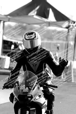 media/Jun-04-2023-Apex Assassins (Sun) [[43813f47a8]]/Around the Pits/